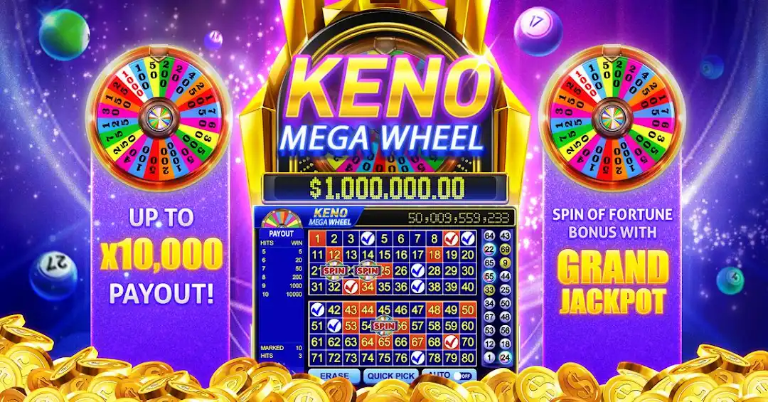 9rbet7 betf cassino on-line